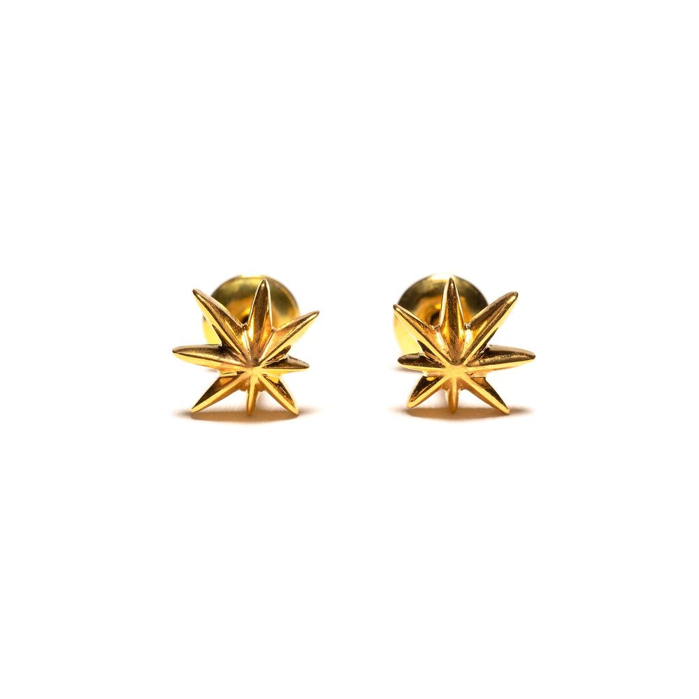 Hempstar Earrings - 14k Plated Gold