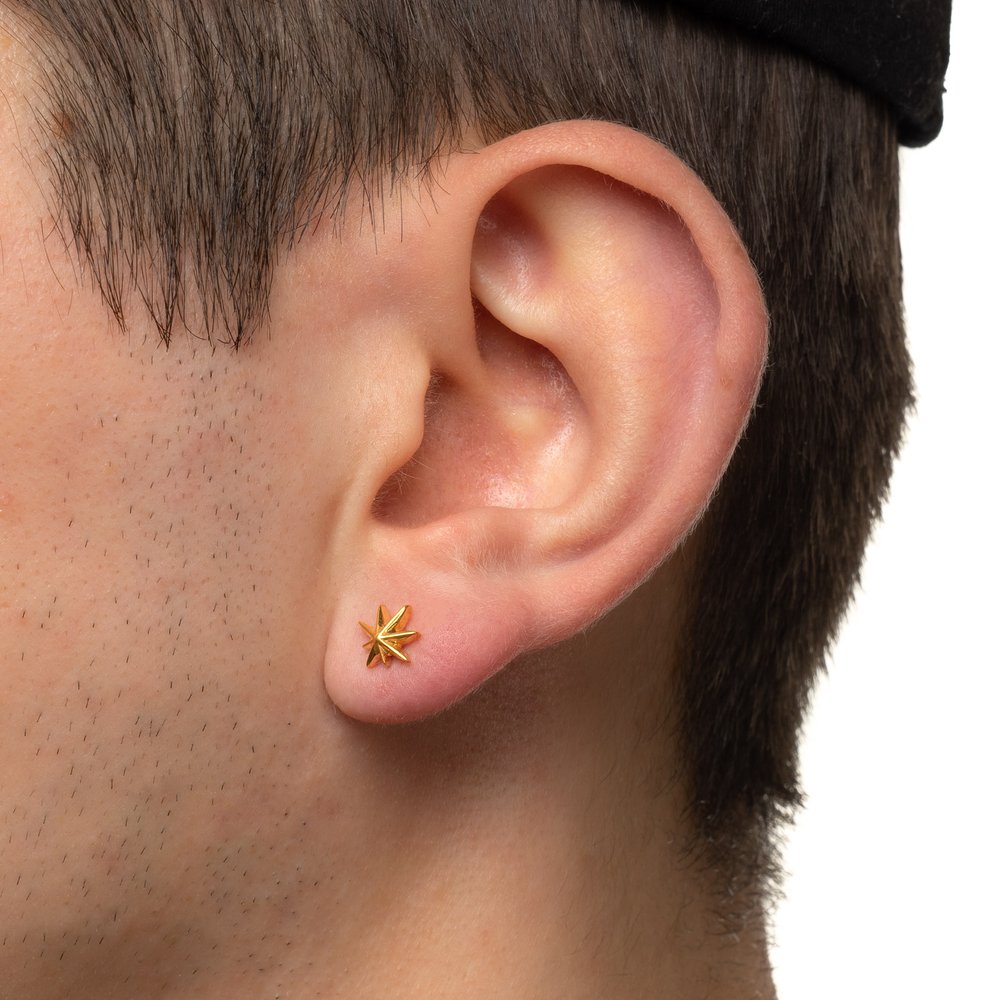 Hempstar Earrings - 14k Plated Gold