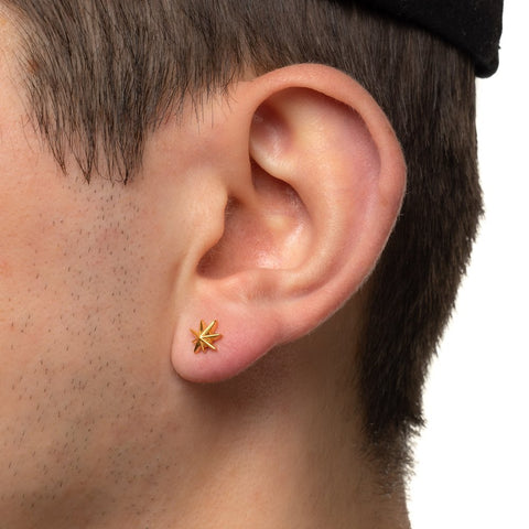 Hempstar Earrings - 14k Plated Gold