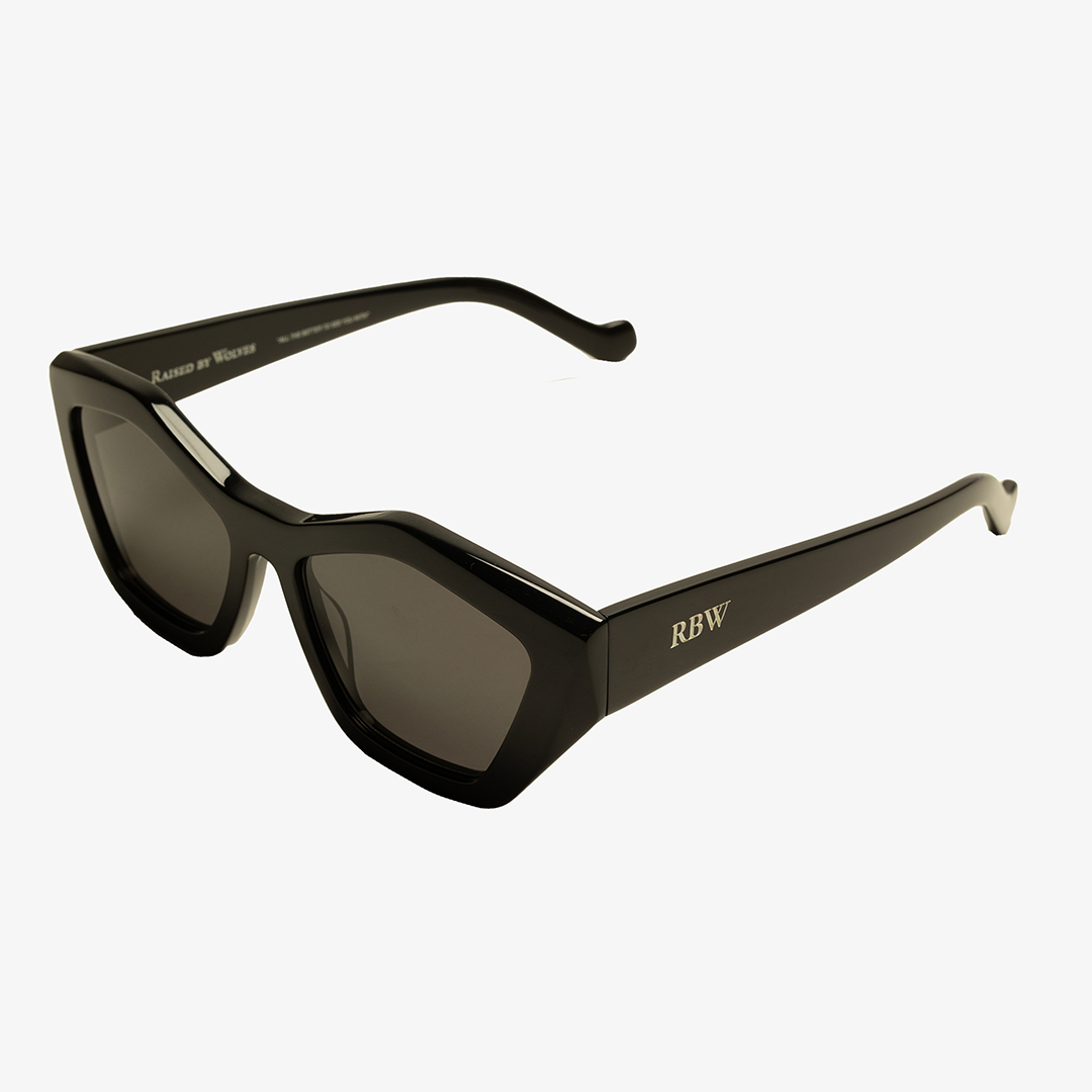 Model V Sunglasses - Black