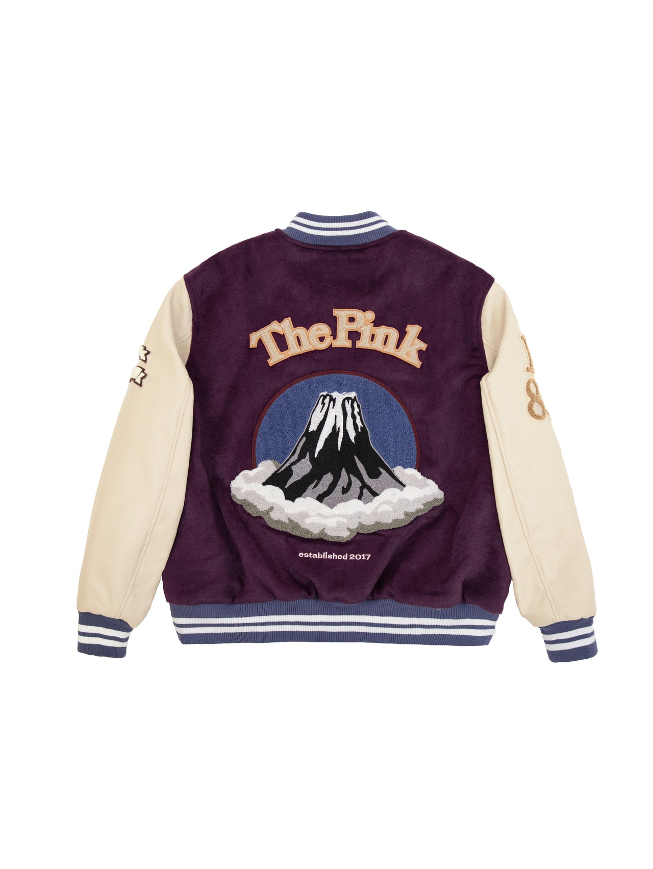 Crane Varsity Jacket - Purple