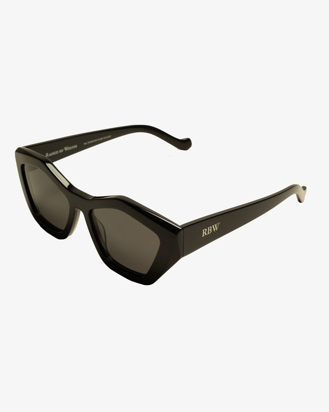 Model V Sunglasses - Black