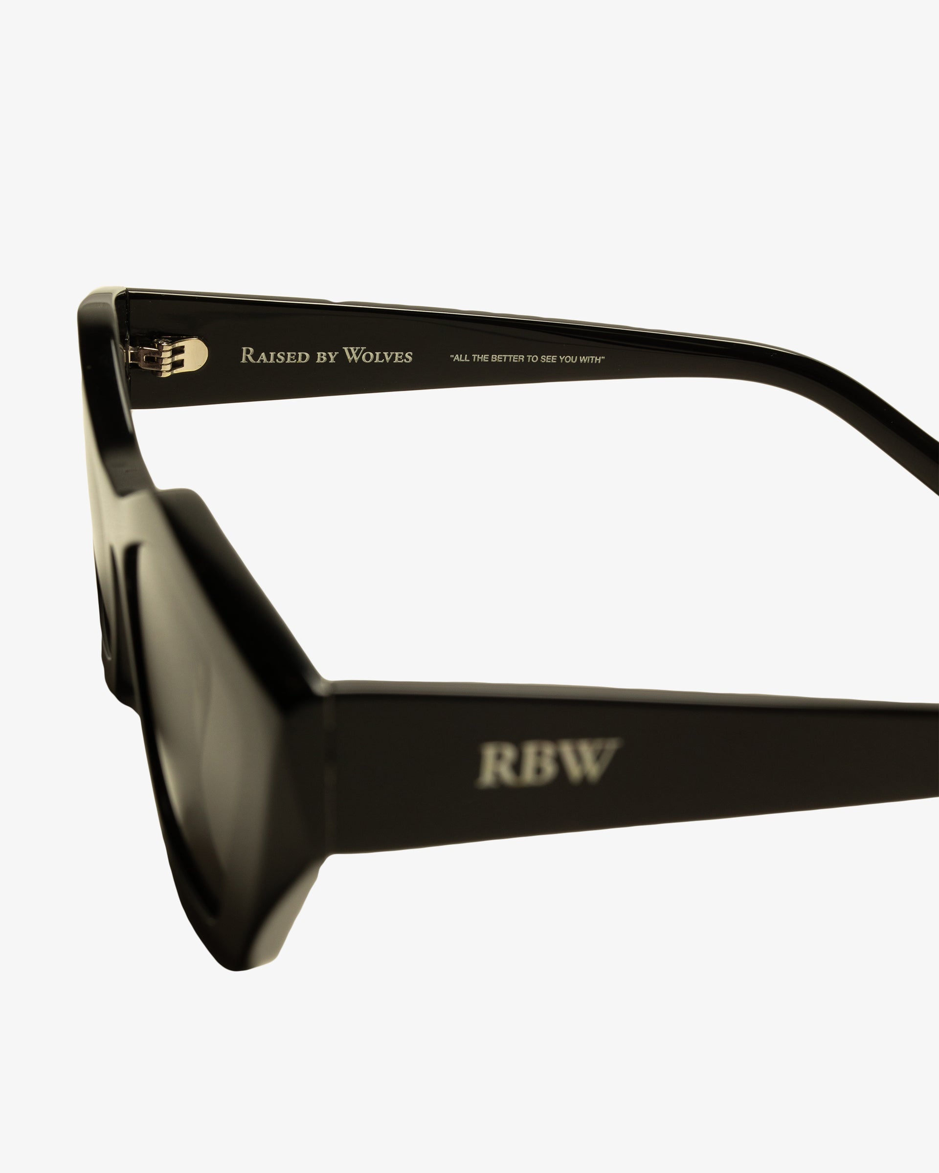Model V Sunglasses - Black