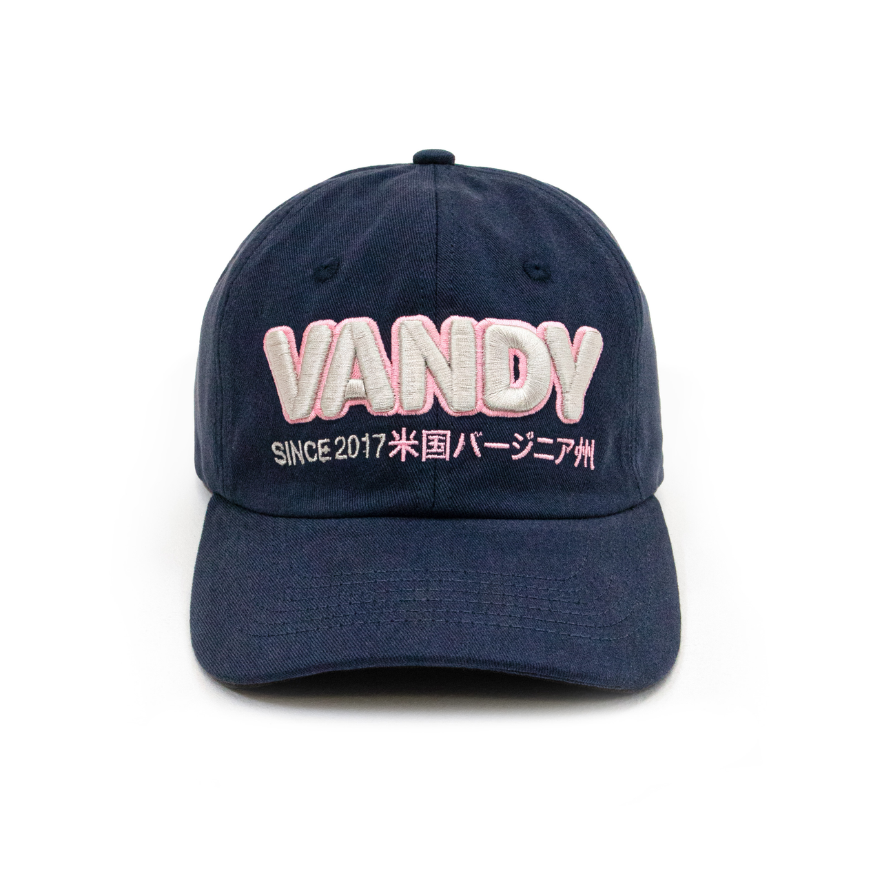 Basic Logo Ball Cap - Navy/Pink